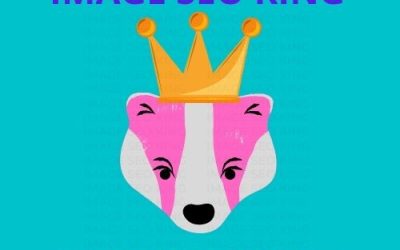 Image SEO King. Image SEO gold crown wearing pink honey badger on a teal blue background. Cause that's what Image SEO King's do to SEO images! #imageseoking