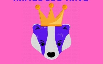 Image SEO King. Image SEO gold crown wearing purple honey badger on a pink background. Cause that's what Image SEO King's do to SEO images! #imageseoking