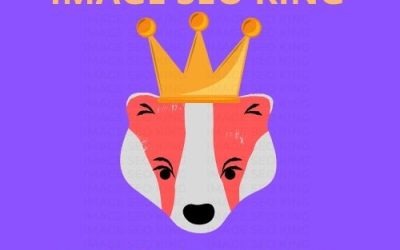 Image SEO King. Image SEO gold crown wearing orange honey badger on a purple background. Cause that's what Image SEO King's do to SEO images! #imageseoking