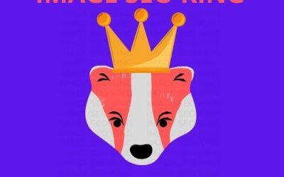 Image SEO King. Image SEO gold crown wearing orange honey badger on a dark blue background. Cause that's what Image SEO King's do to SEO images! #imageseoking