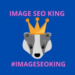 Image SEO King. Image SEO gold crown wearing grey honey badger on a dark blue background. Cause that's what Image SEO King's do to SEO images! #imageseoking