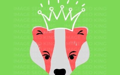 Image SEO King. Image SEO white crown wearing orange honey badger on a bright green colored background. Cause that's what Image SEO King's do to SEO images!