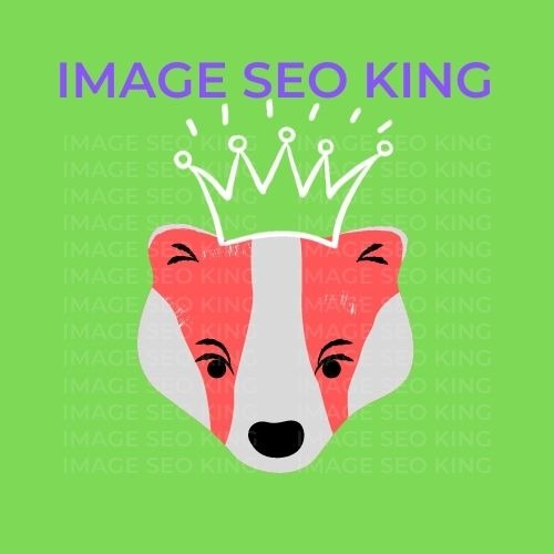 Image SEO King. Image SEO white crown wearing orange honey badger on a bright green colored background. Cause that's what Image SEO King's do to SEO images!