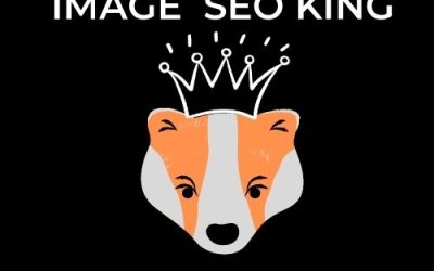 Image SEO King. Image SEO gold crown wearing orange honey badger on a black background. Cause that's what Image SEO King's do to SEO images!