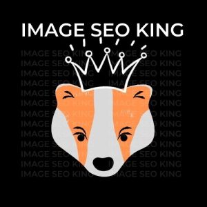 Image SEO King. Image SEO gold crown wearing orange honey badger on a black background. Cause that's what Image SEO King's do to SEO images!
