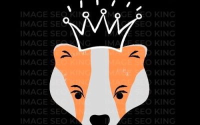 Image SEO King. Image SEO gold crown wearing orange honey badger on a black background. Cause that's what Image SEO King's do to SEO images!