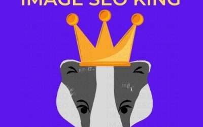 Image SEO King. Image SEO gold crown wearing grey honey badger on a blue background. Cause that's what Image SEO King's do to SEO images!