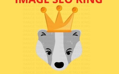 Image SEO King. Image SEO gold crown wearing grey honey badger on a yellow background. Cause that's what Image SEO King's do to SEO images! #imageseoking