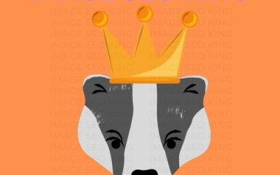 Image SEO King. Image SEO gold crown wearing grey honey badger on an orange background. Cause that's what Image SEO King's do to SEO images!