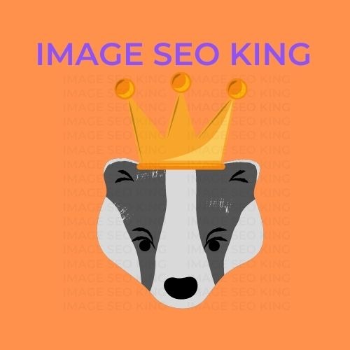 Image SEO King. Image SEO gold crown wearing grey honey badger on an orange background. Cause that's what Image SEO King's do to SEO images!