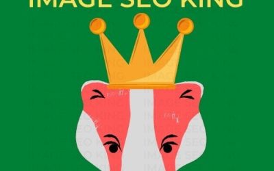 Image SEO King. Image SEO gold crown wearing orange honey badger on a green background. Cause that's what Image SEO King's do to SEO images!