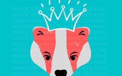 Image SEO King. Image SEO white crown wearing orange honey badger on a turquoise colored background. Cause that's what Image SEO King's do to SEO images!