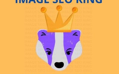 Image SEO King. Image SEO gold crown wearing purple honey badger on an orange background. Cause that's what Image SEO King's do to SEO images! #imageseoking