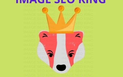 Image SEO King. Image SEO gold crown wearing red honey badger on a lime green background. Cause that's what Image SEO King's do to SEO images! #imageseoking