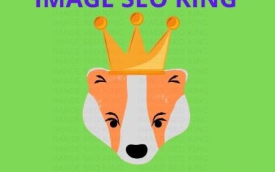 Image SEO King. Image SEO gold crown wearing orange honey badger on a bright green background. Cause that's what Image SEO King's do to SEO images! #imageseoking