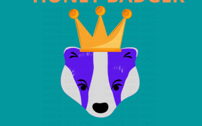 Image SEO King with gold crowned purple honey badger on teal image background. Cause that's what Image SEO King's (Queen's) do to SEO Images!!